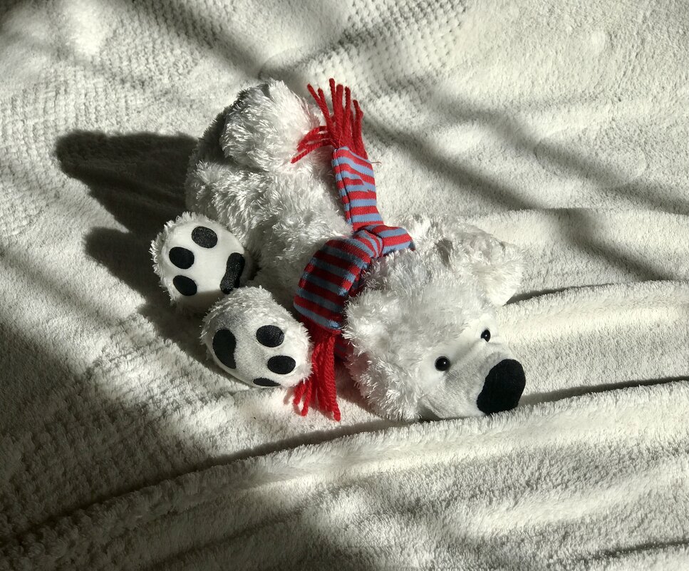 В ожидании хозяйки… - Любовь В ожидании хозяйки… - Любовь