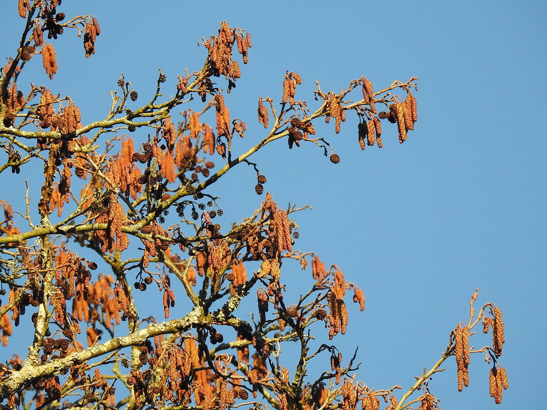 **** - ИННА ПОРОХОВА