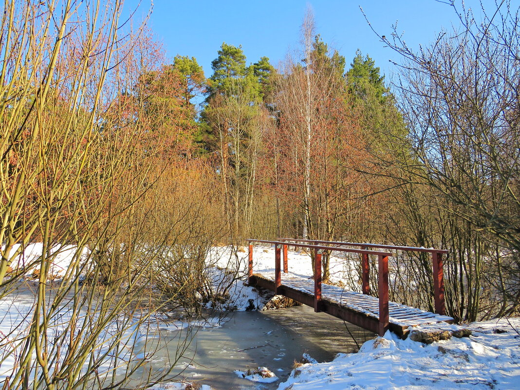 Мостик над замёрзшим ручьём - Андрей Снегерёв Мостик над замёрзшим ручьём - Андрей Снегерёв