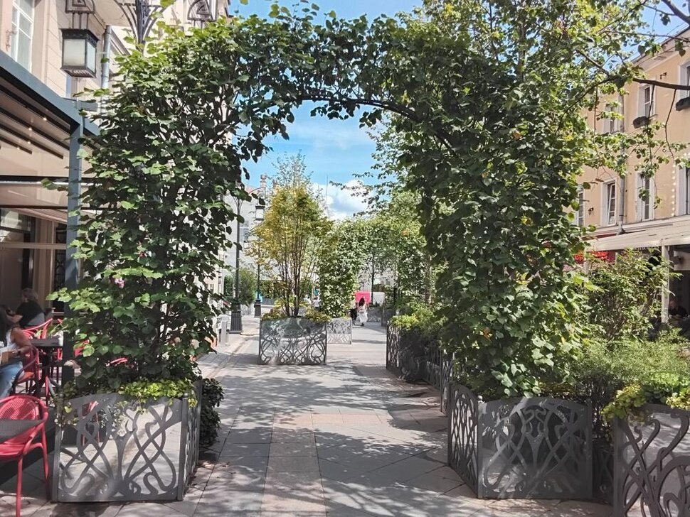 Зелёная арка - Дмитрий Никитин Зелёная арка - Дмитрий Никитин