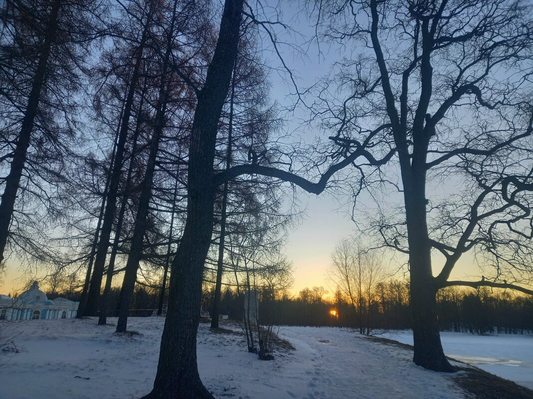 Рассвет - Сапсан 