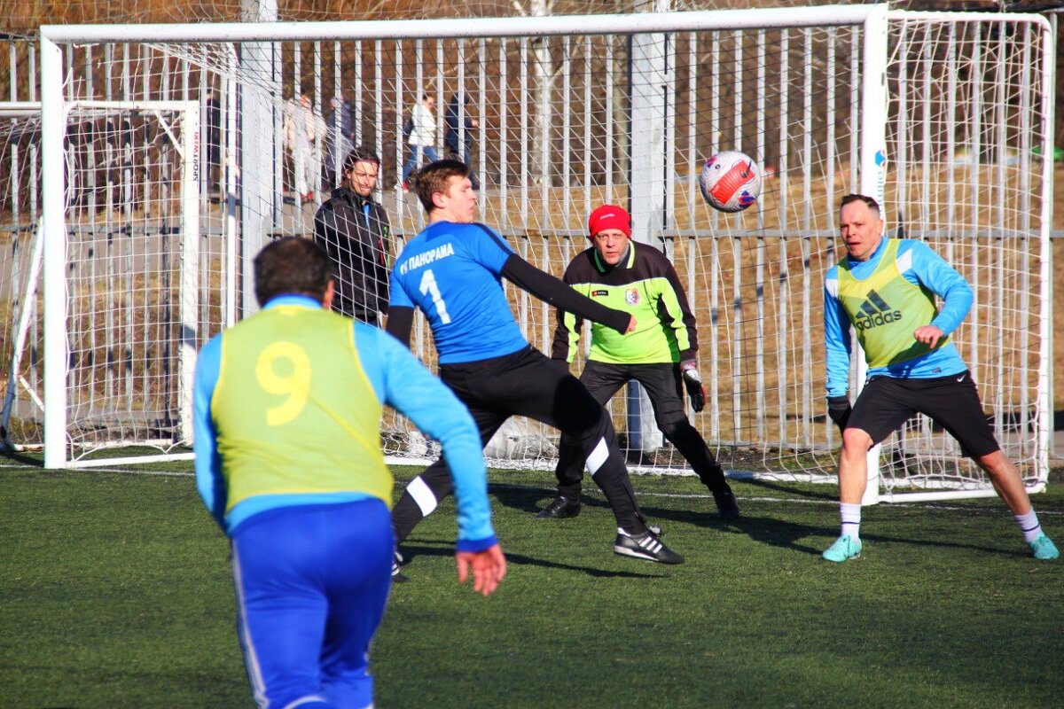 Наблюдатели - Екатерина Шурыгина