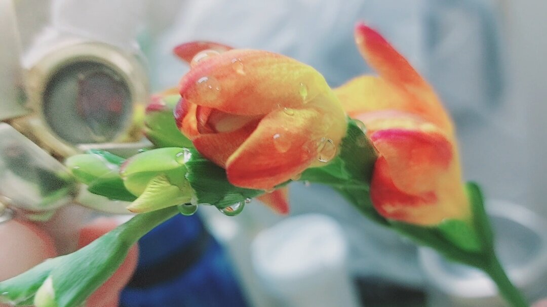 110 (53) - СТРЕН 