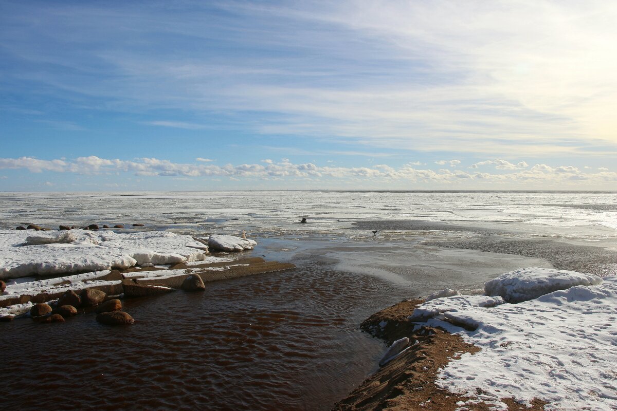 Зеленогорск. Март - Наталья Герасимова Зеленогорск. Март - Наталья Герасимова