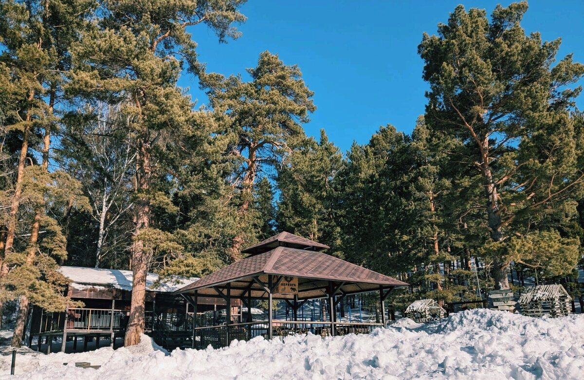 Март - Георгиевич Март - Георгиевич