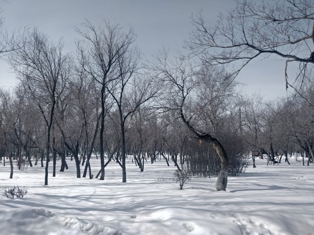 Март - Андрей Хлопонин