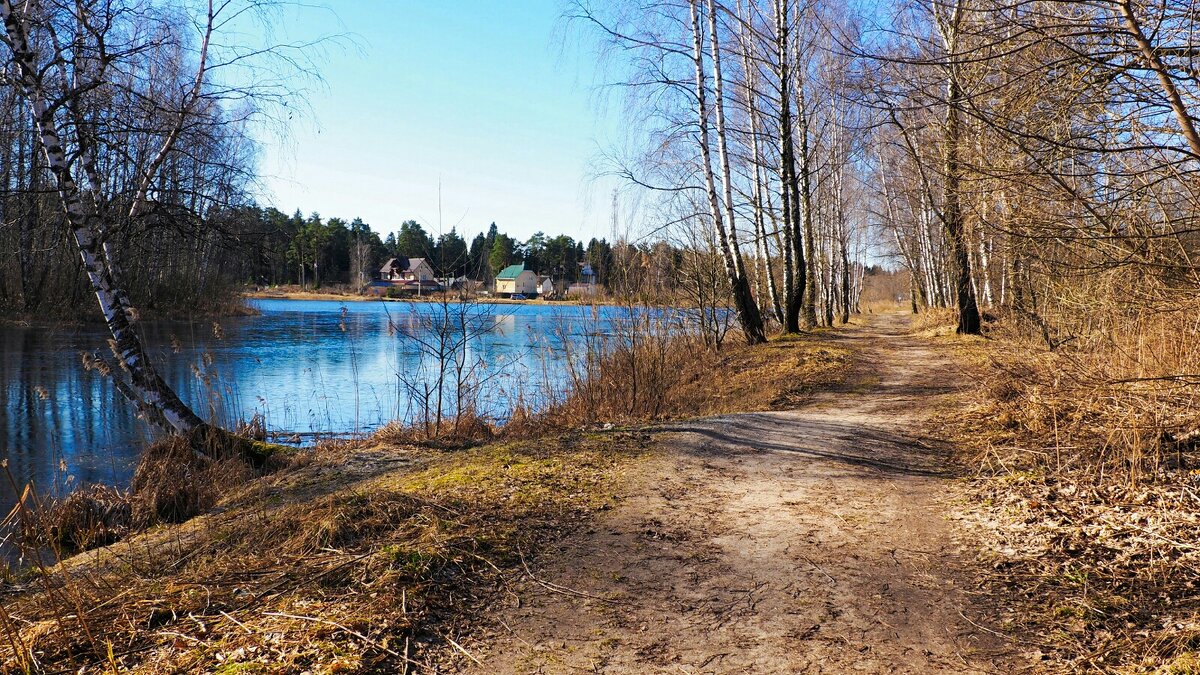 О Смоленской весне - Милешкин Владимир Алексеевич О Смоленской весне - Милешкин Владимир Алексеевич