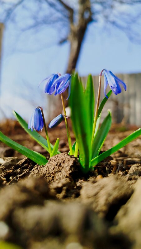 Весне дорогу! - Татьяна Евдокимова