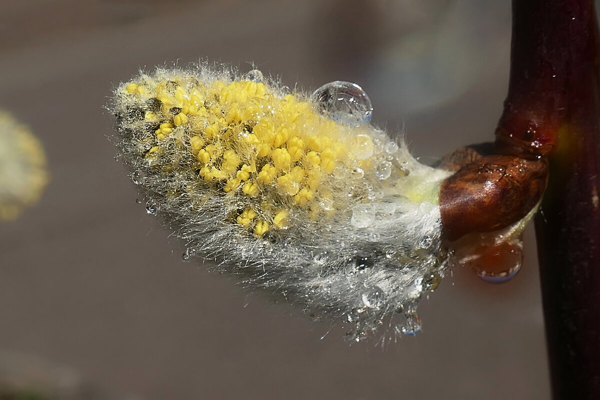Сегодня помАкрушничал.. - igor G. Сегодня помАкрушничал.. - igor G.