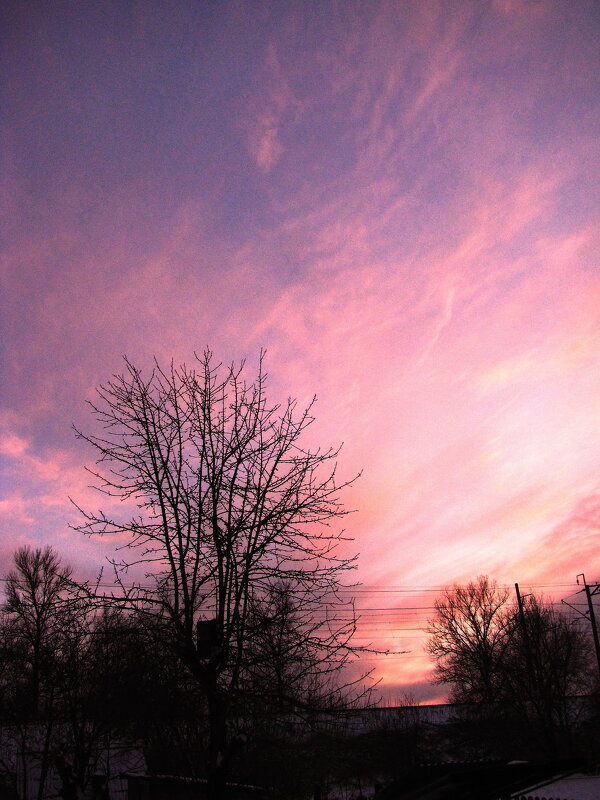 Вечер - Людмила Смородинская