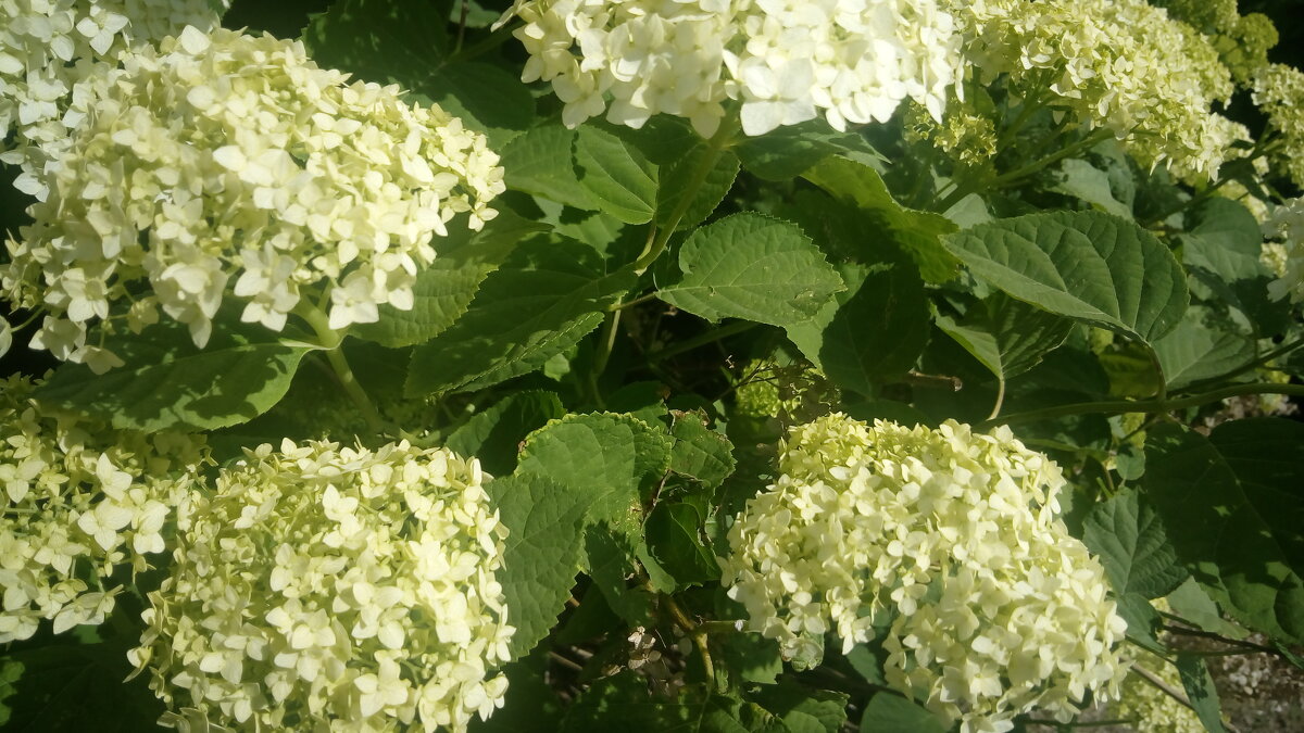 ,,, - Сергей Тимоновский ,,, - Сергей Тимоновский