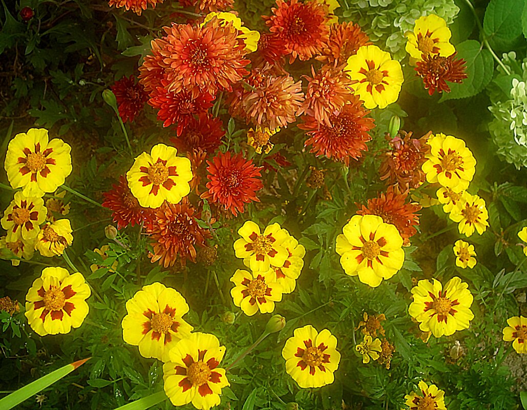 Летний интерьер - Елена Семигина