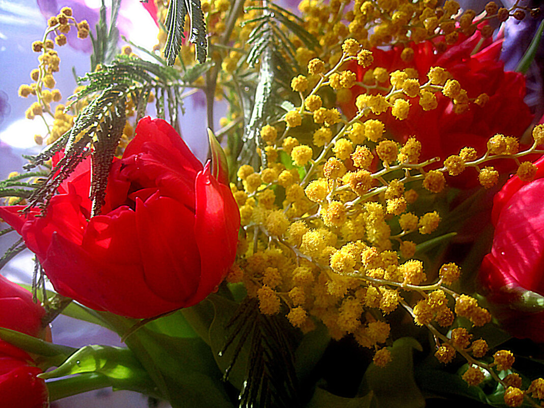 Весеннее - Елена Семигина Весеннее - Елена Семигина