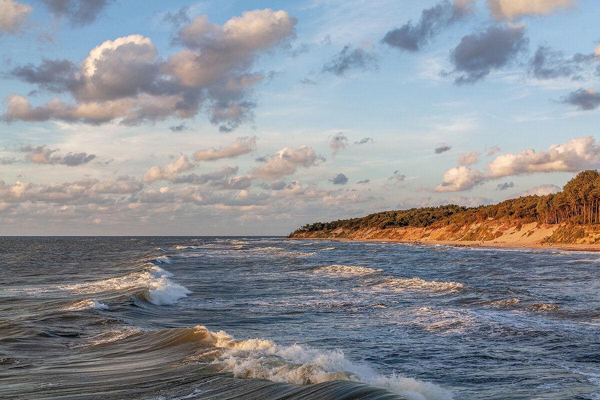 Балтика - Дмитрий 