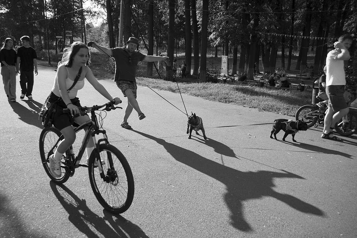 Путаница - Владимир Носов Путаница - Владимир Носов