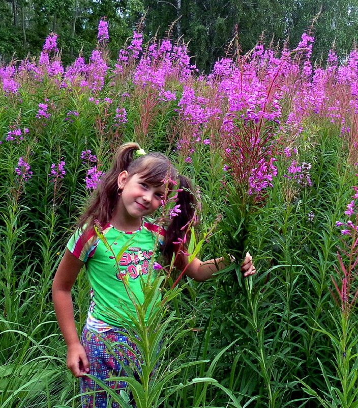 Когда кипрей растёт быстрей. - nadyasilyuk Вознюк