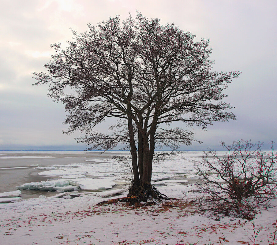 *** - Сергей Григорьев