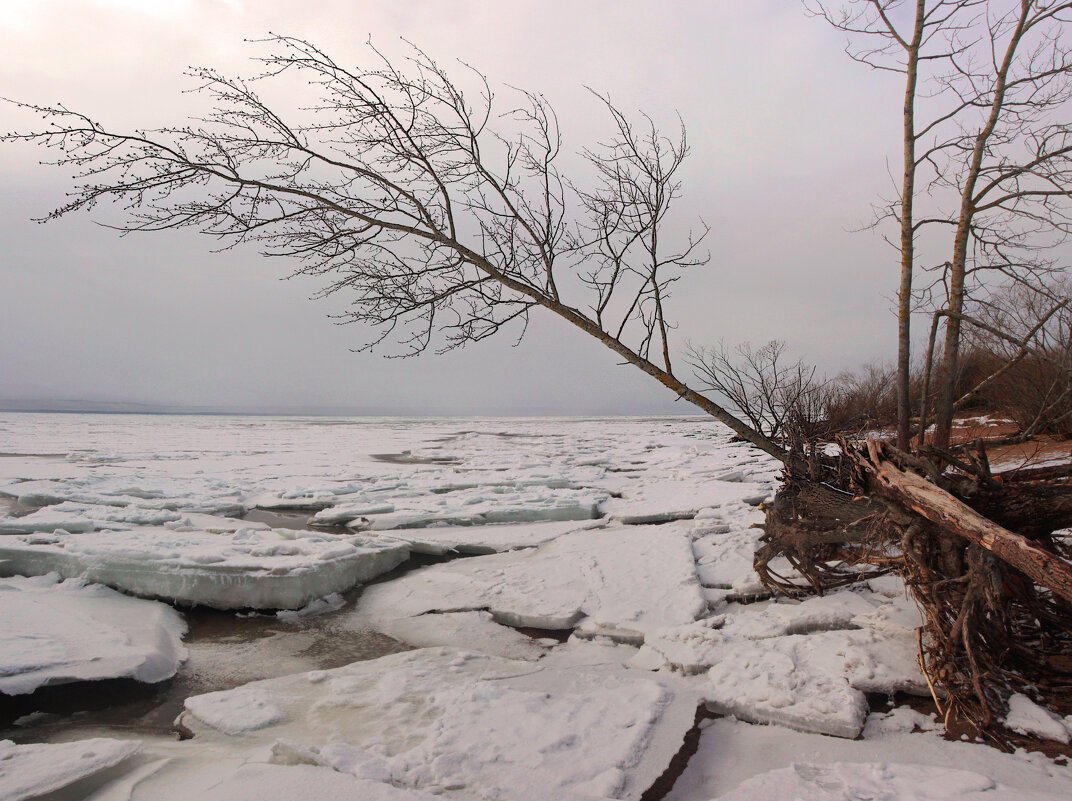 *** - Сергей Григорьев