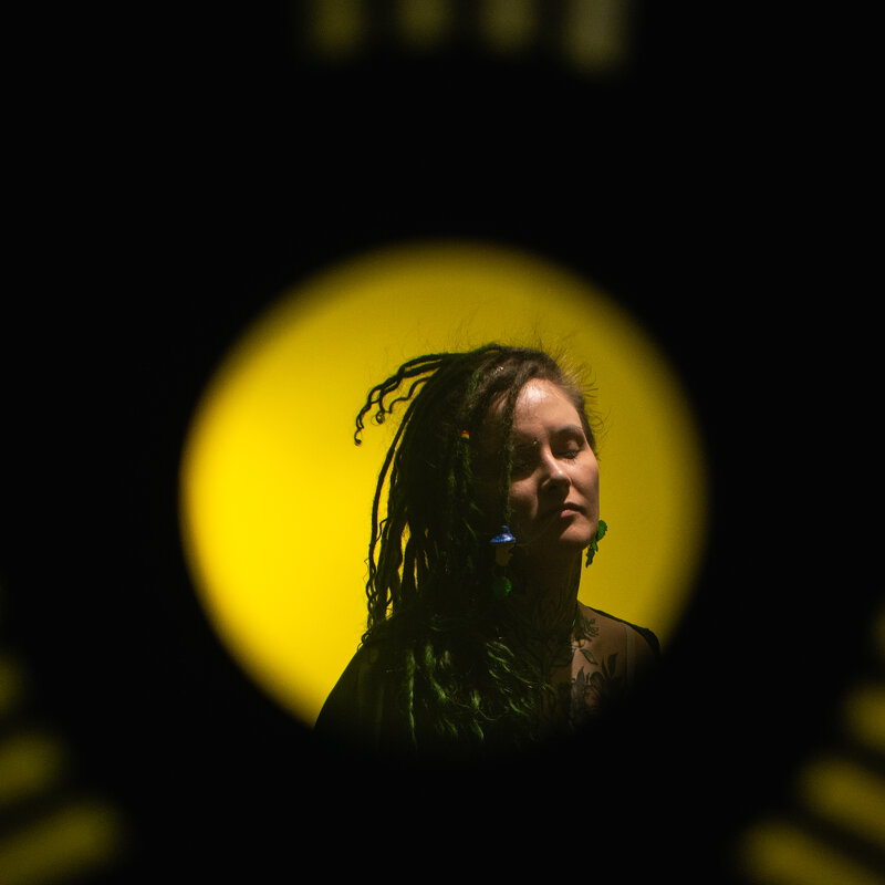 *** - Николай Чекалин