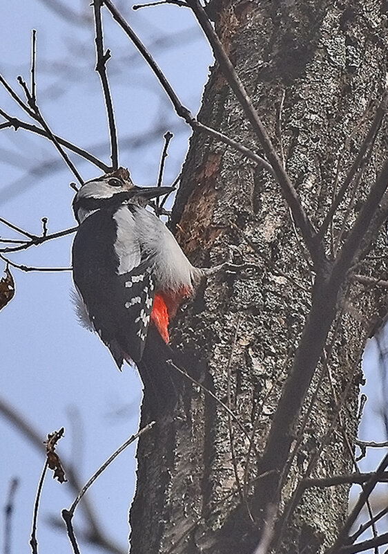Как долго я тебя ждала! - Валентина  Нефёдова 