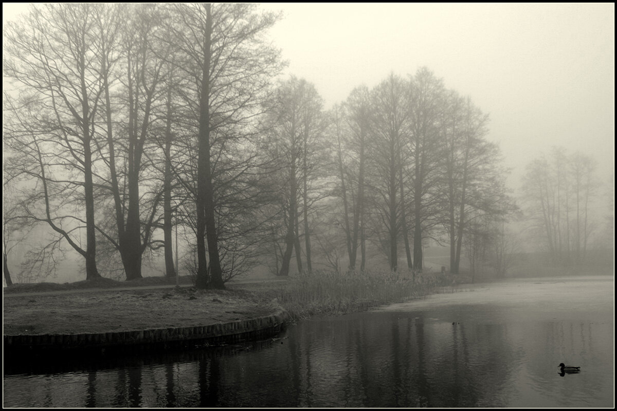 *** - Aleksandr Gal *** - Aleksandr Gal