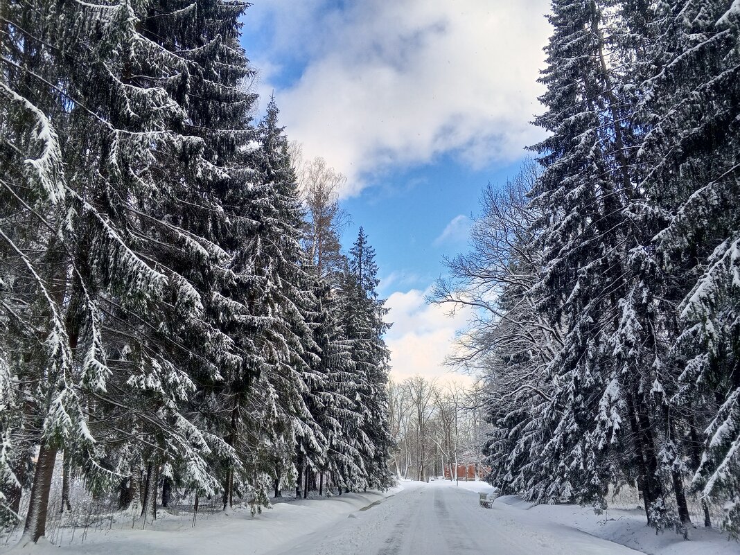 Снегопад - Сапсан 