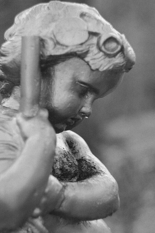 ... - Елена Сиднина