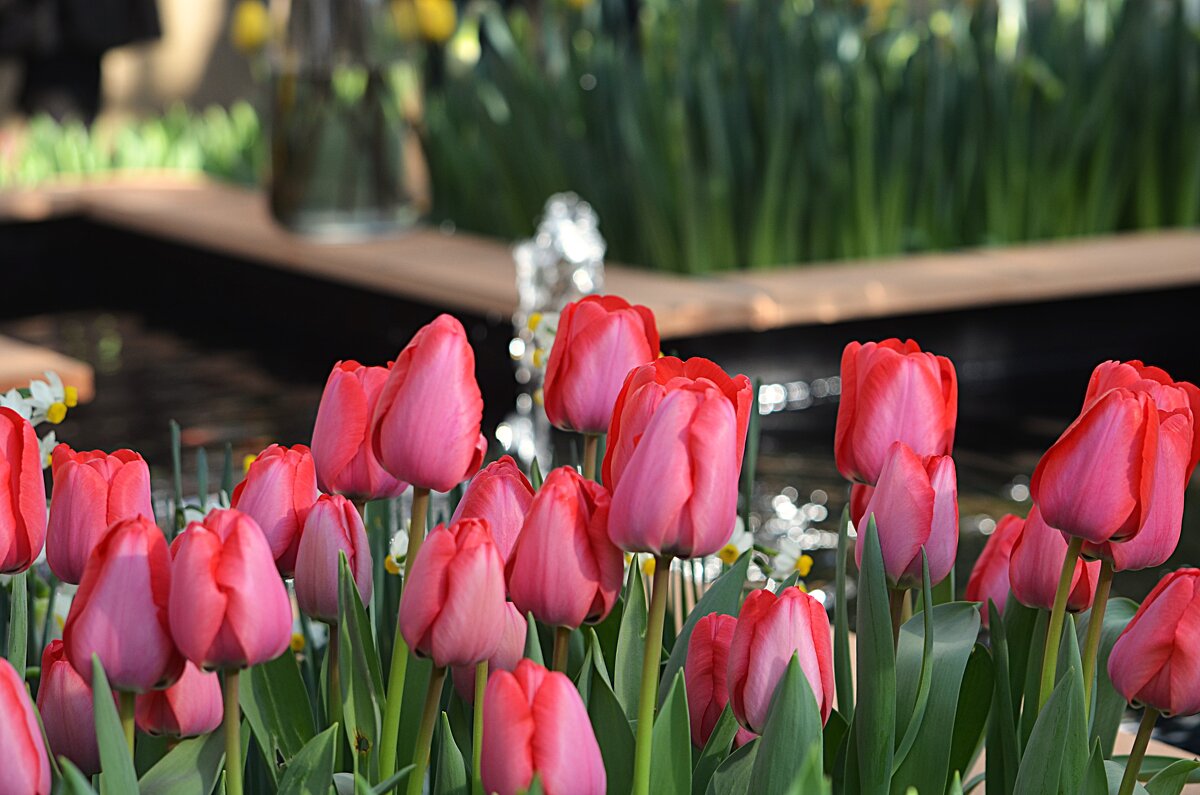 Репетиция весны - Татьяна Тюменка Репетиция весны - Татьяна Тюменка