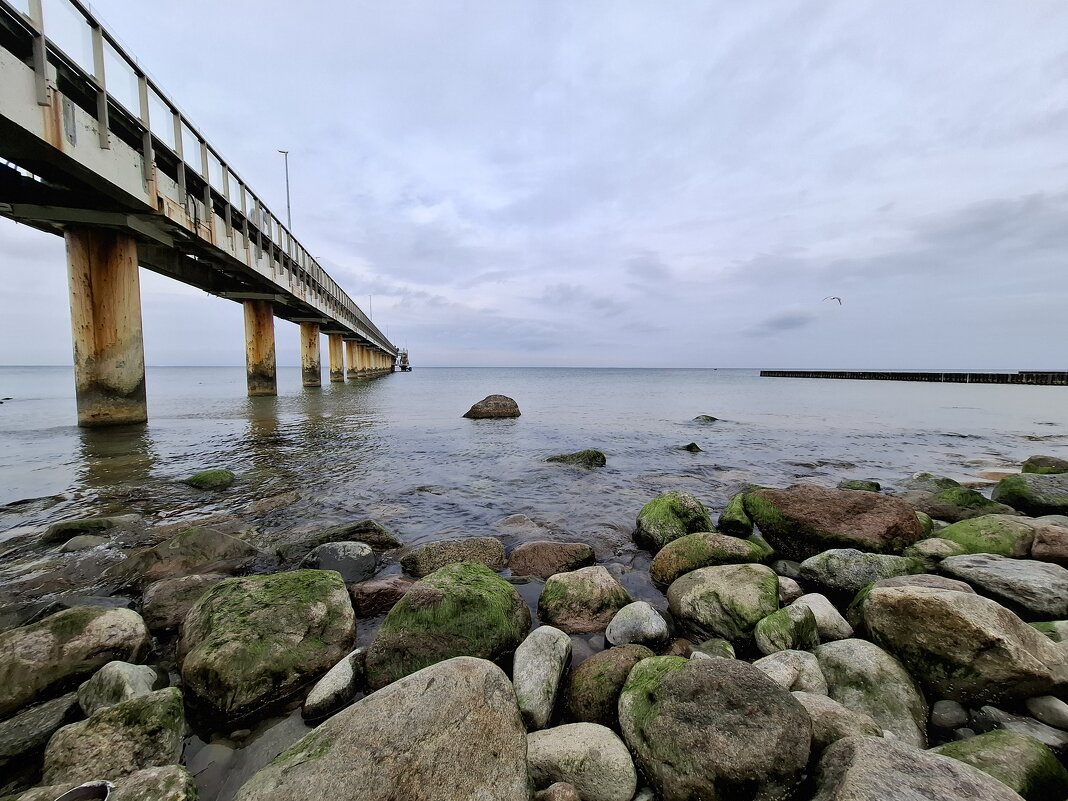 Балтика - Евгения Cмирнова Балтика - Евгения Cмирнова