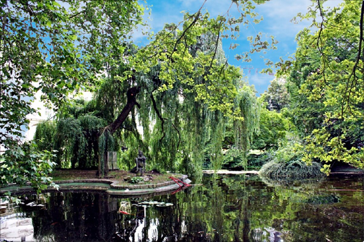 парк - марта Камушкина парк - марта Камушкина