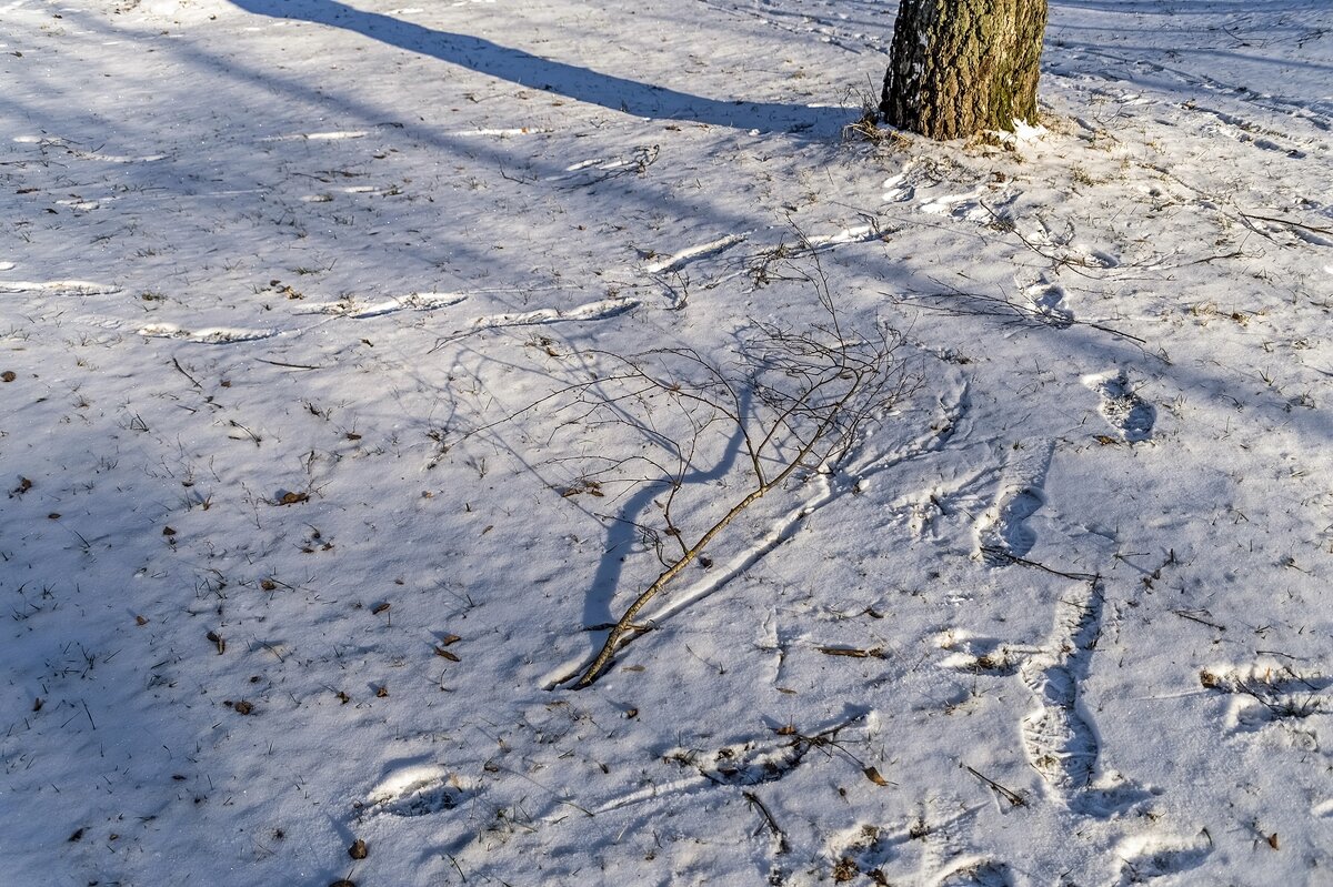 Мартовская зарисовка - Валерий Иванович