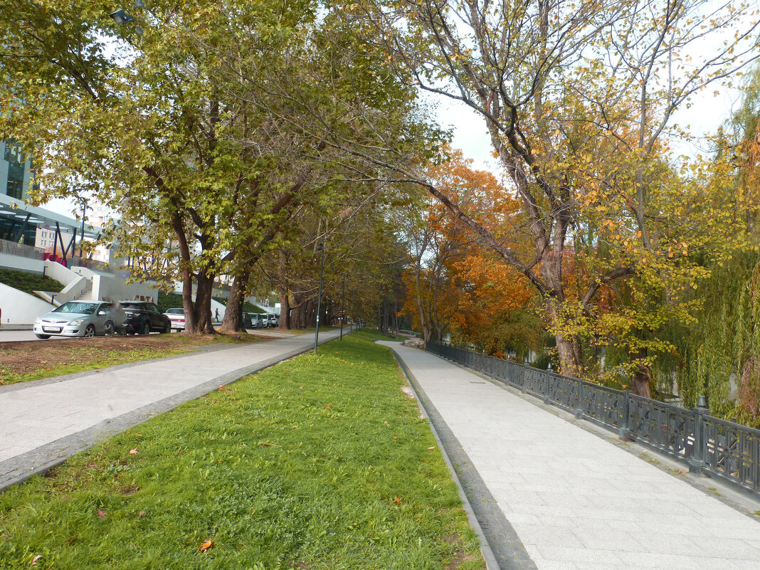 Осень  золотая - Валентин Семчишин