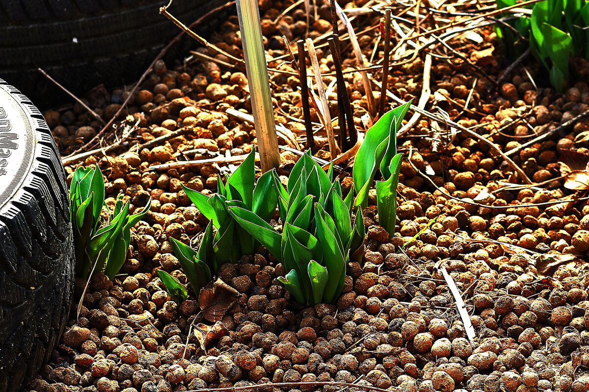 Ждём! - Юрий Гайворонскiий Ждём! - Юрий Гайворонскiий