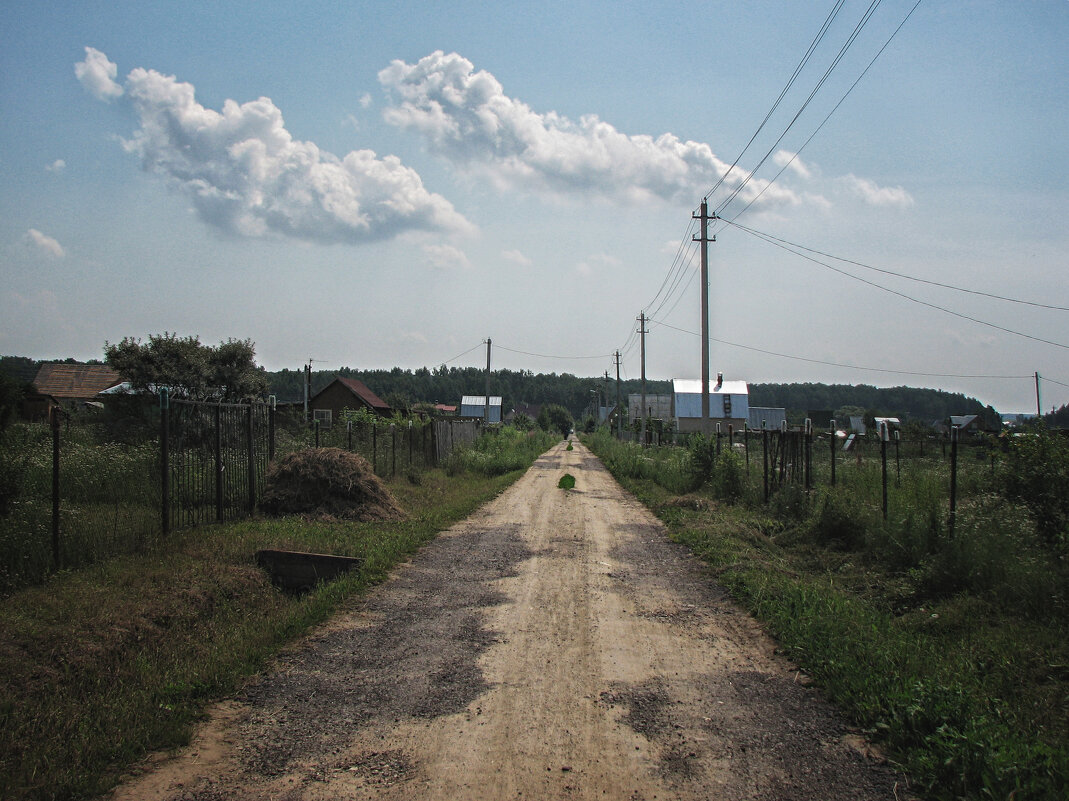 Долгая дорога даччная - Джованни Луче