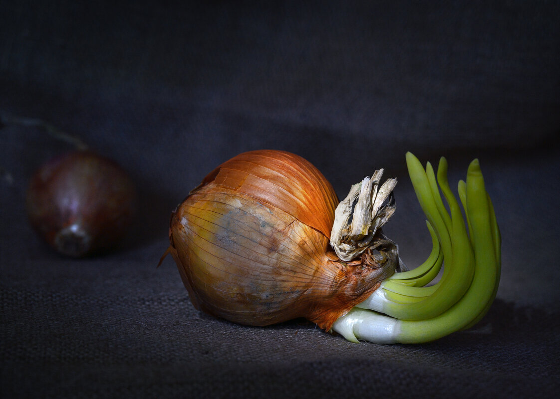 Трансформация - Елена Кухарева Трансформация - Елена Кухарева