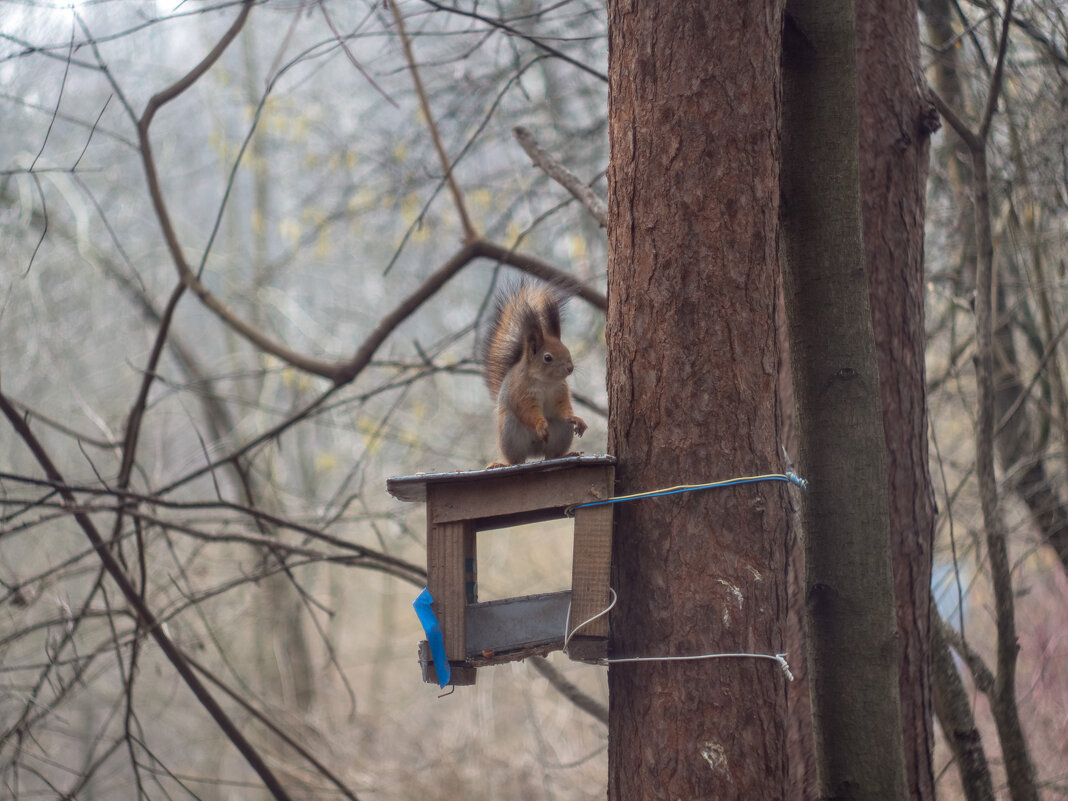 ___ - Yuriy V ___ - Yuriy V