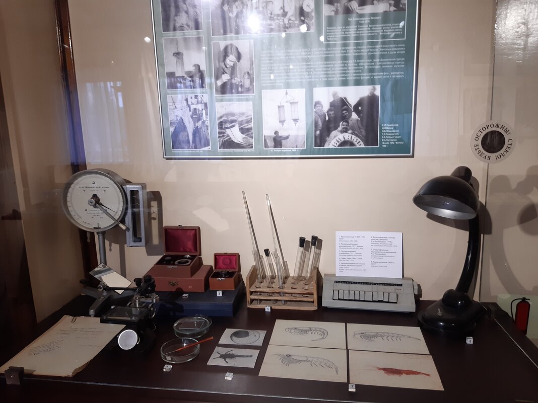 В музее Мирового океана - Галина Минчук В музее Мирового океана - Галина Минчук