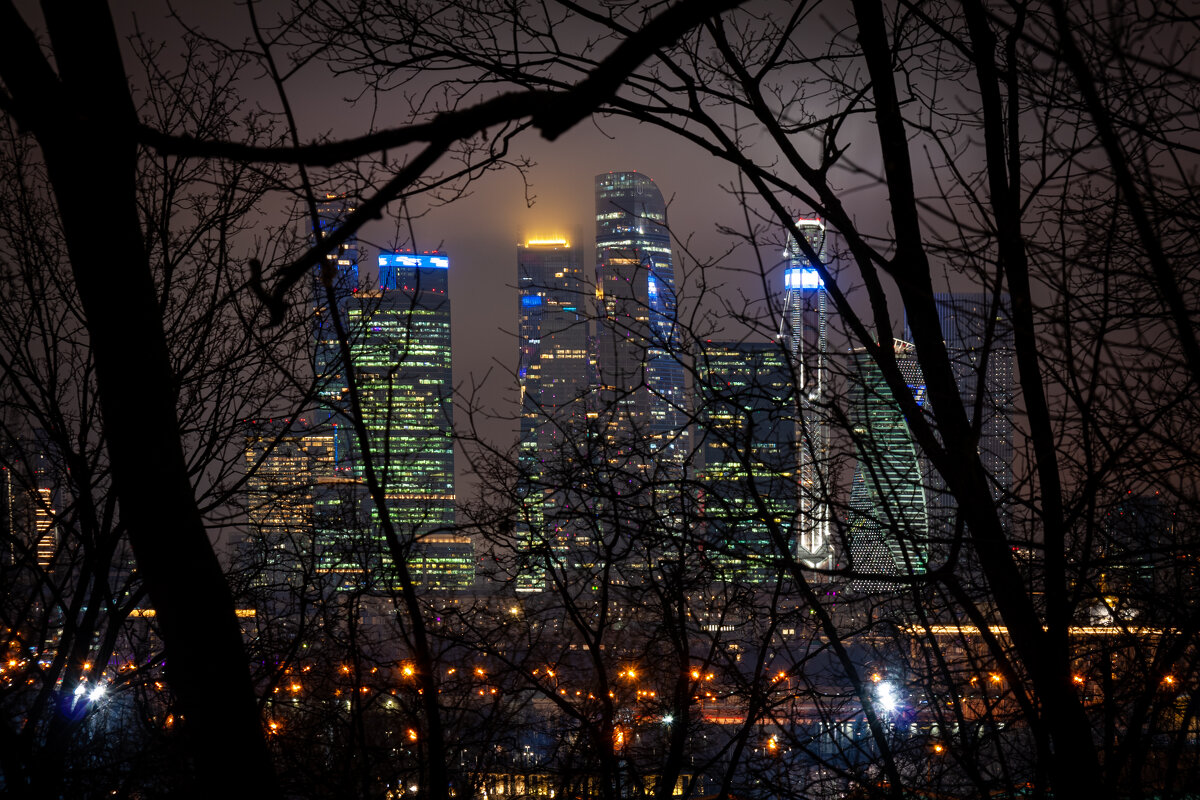 Из леса. - Alexandr Gunin Из леса. - Alexandr Gunin