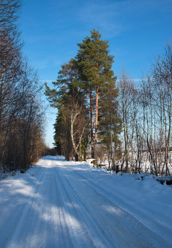 В конце февраля - lady v.ekaterina В конце февраля - lady v.ekaterina