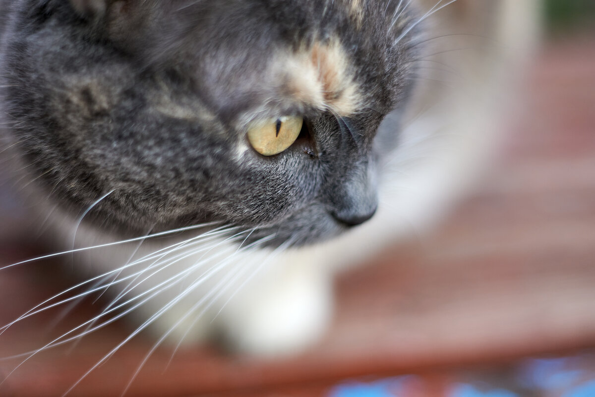 этот взгляд - Александр Леонов этот взгляд - Александр Леонов