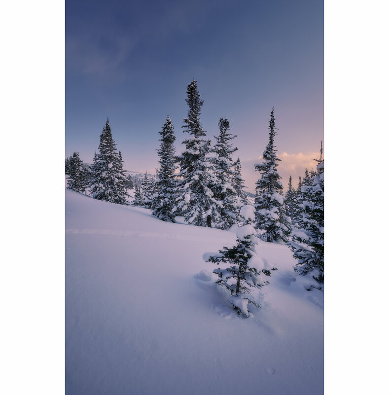 * - Александр Иванов