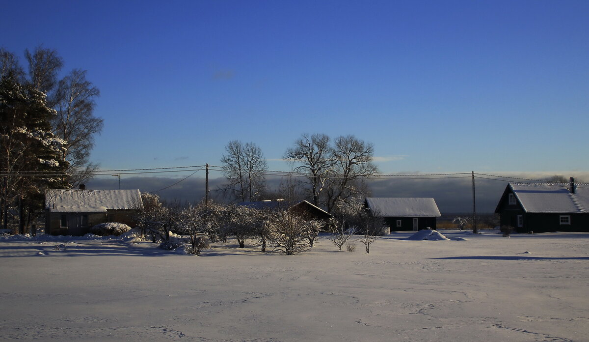 Однажды январским днем.. - Татьян@ Ивановна Однажды январским днем.. - Татьян@ Ивановна