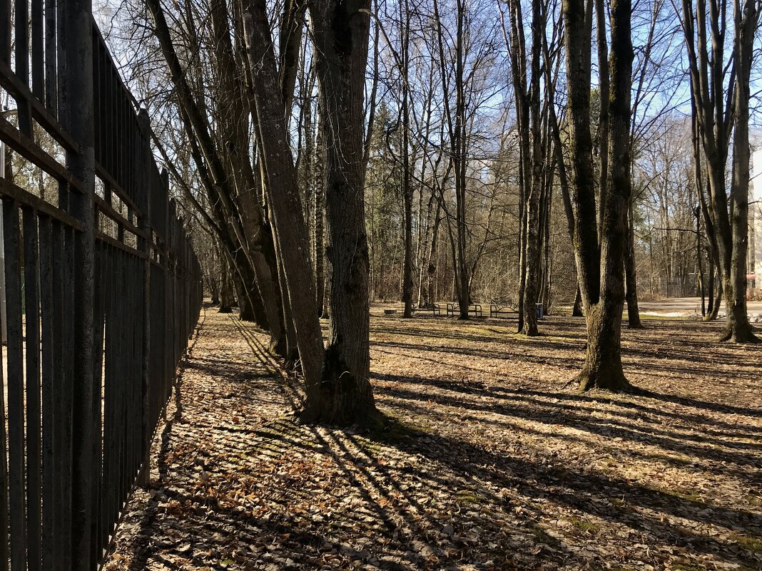 В линеечку) - Любовь 