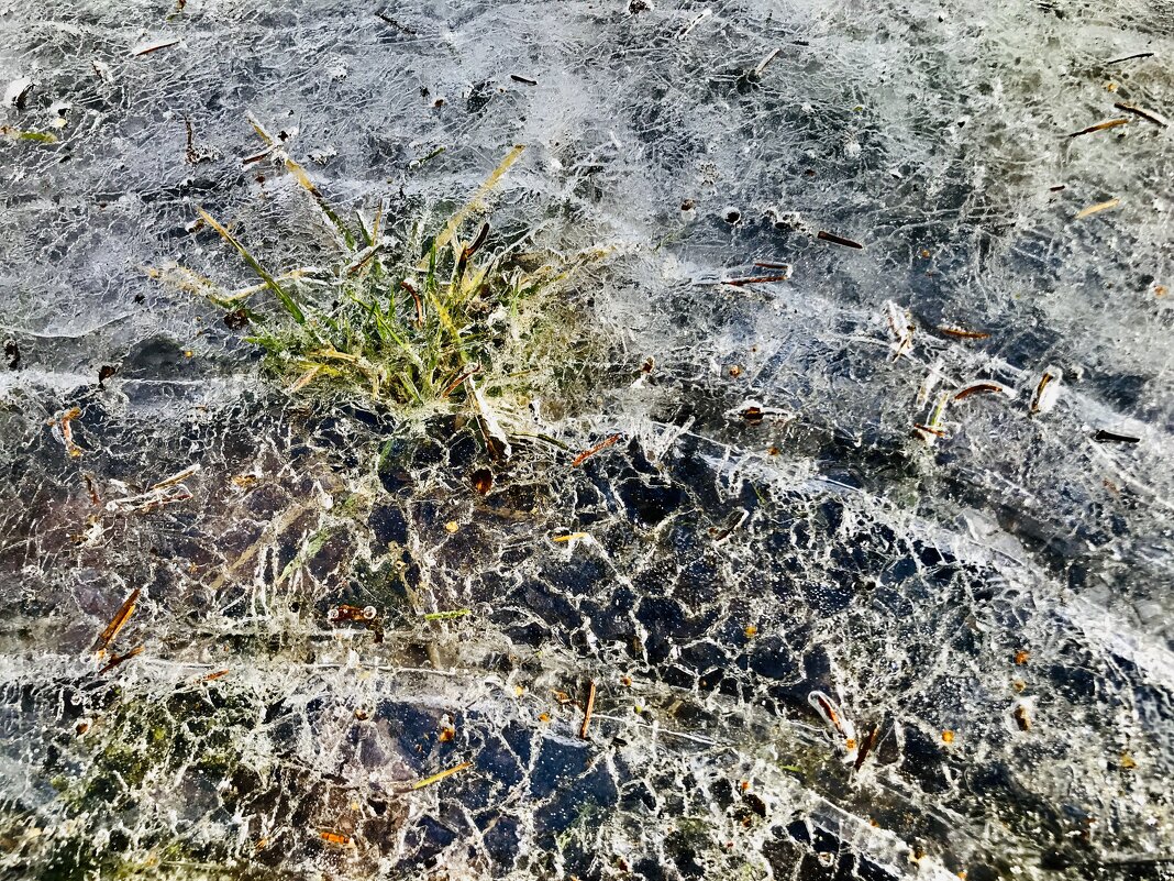 Последний ледок… - Любовь Последний ледок… - Любовь