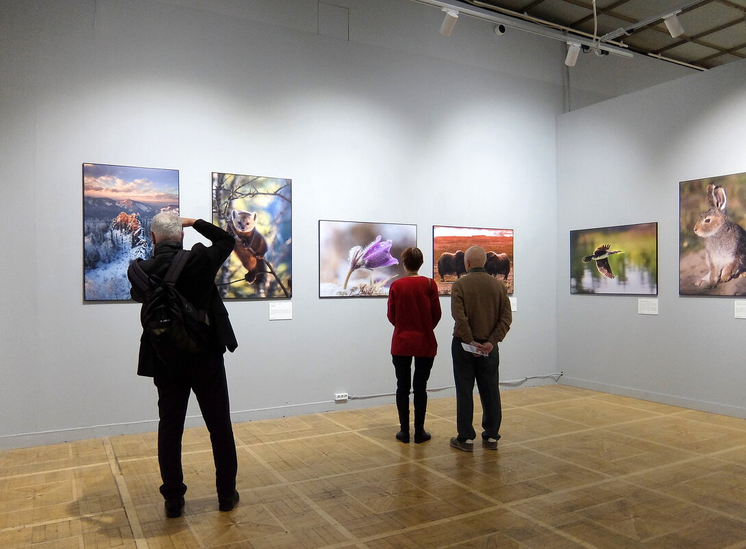 Прекрасный мир фотографии. - Люба Прекрасный мир фотографии. - Люба