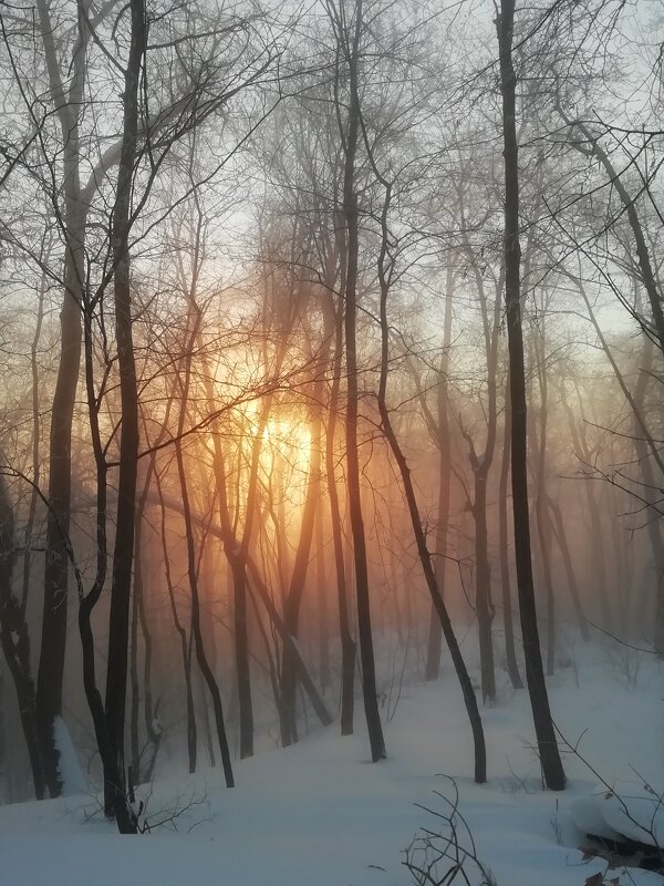 Утро туманное - Сергей Утро туманное - Сергей