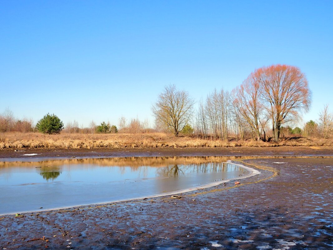Русло реки - Андрей Снегерёв Русло реки - Андрей Снегерёв