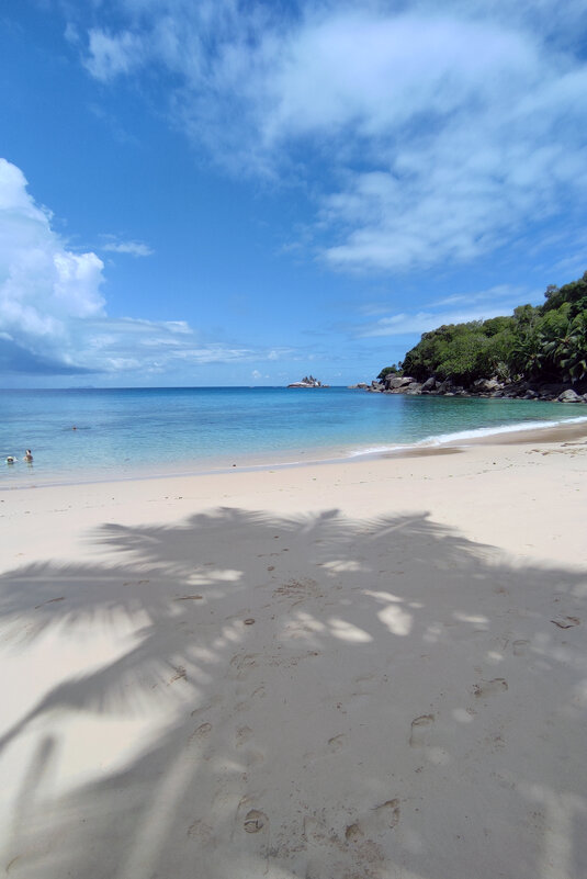 В тени пальмы - Ирина Ватолина В тени пальмы - Ирина Ватолина