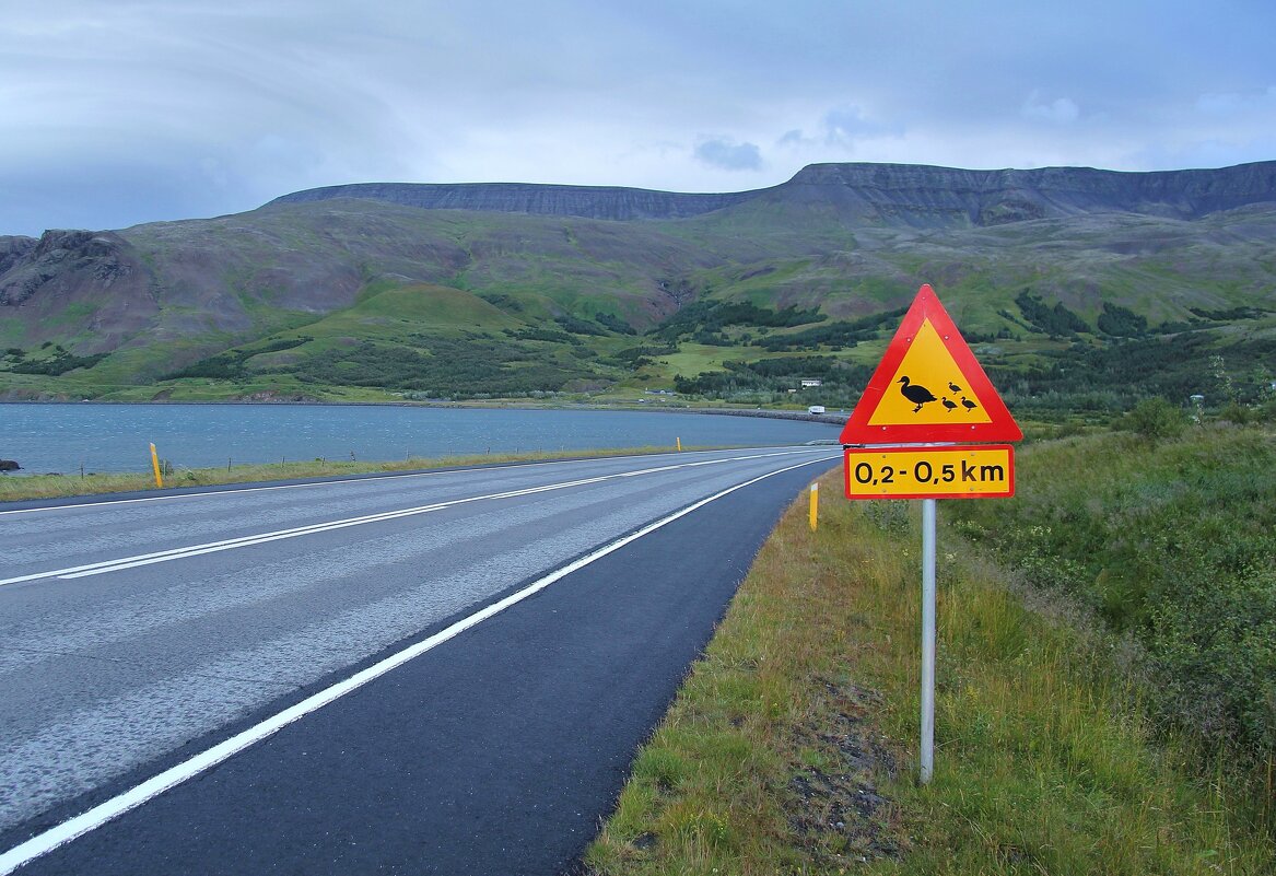 Утиный переход или "Ходють тут всякие и пернатые!" - unix (Илья Утропов) Утиный переход или "Ходють тут всякие и пернатые!" - unix (Илья Утропов)