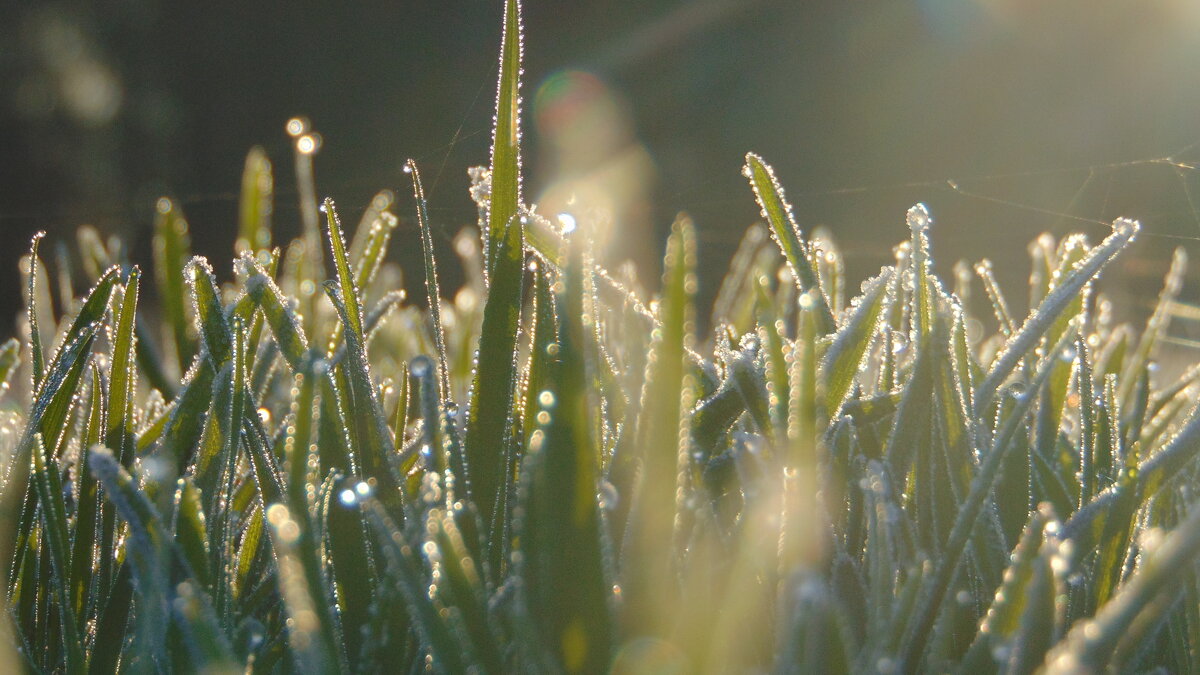 . - Сергей Асташонок